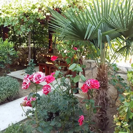 Milutinov Dvor Apartment *