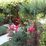 Milutinov Dvor Appartement *