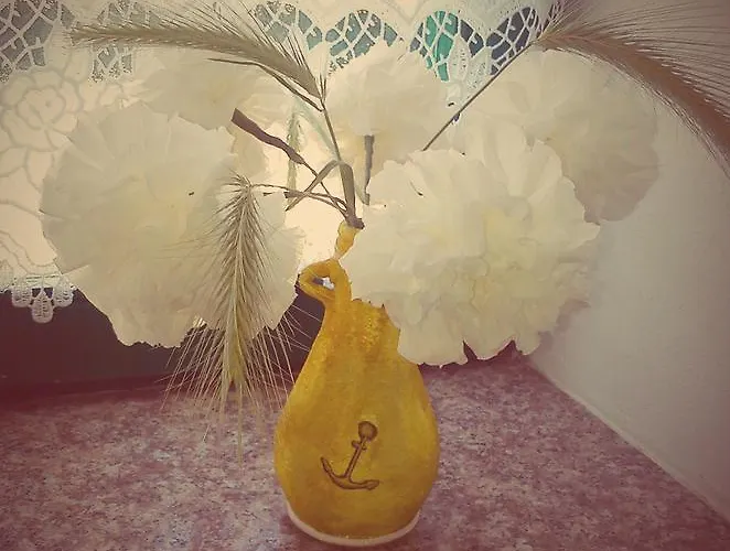 Milutinov Dvor Apartament *