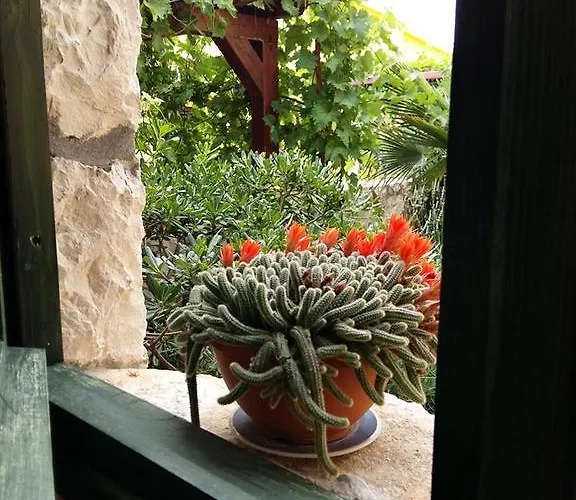 Apartament Milutinov Dvor *