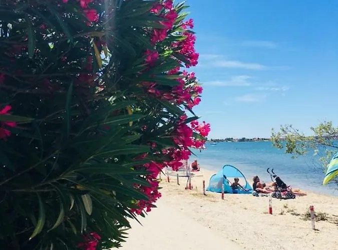 Milutinov Dvor * Vrsi