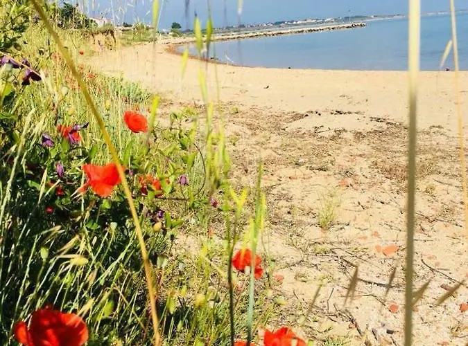 Apartament Milutinov Dvor